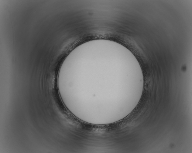 X0000094170694200711241530