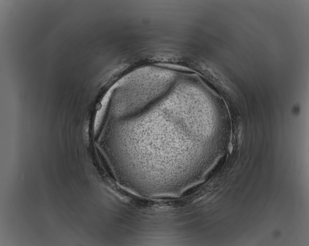 X0000094170696200711241530
