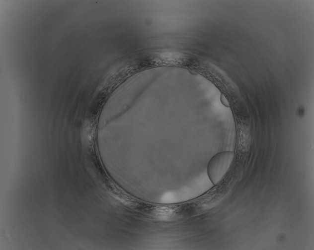X0000094170701200711241530