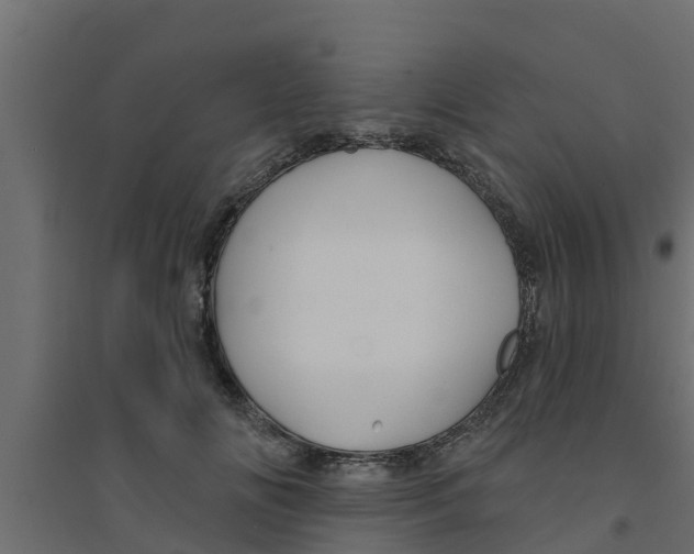 X0000094170702200711241530