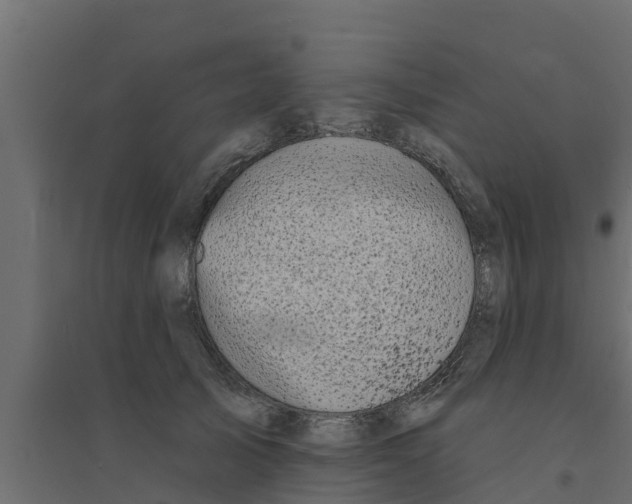 X0000094170705200711241530