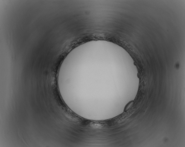 X0000094170706200711241530