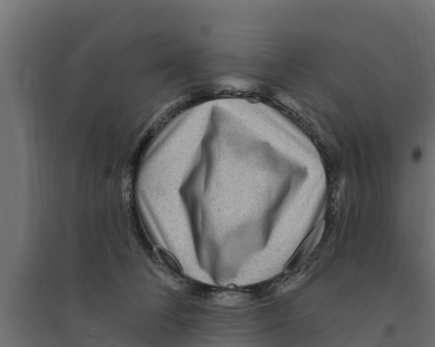 X0000094170708200711241530