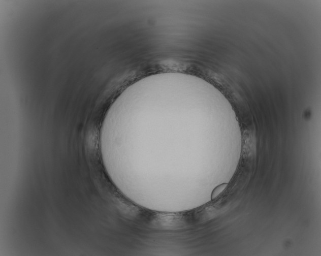 X0000094170713200711241530