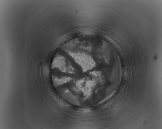 X0000094170715200711241530