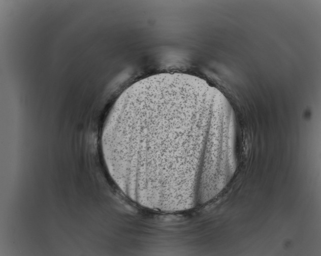 X0000094170716200711241530