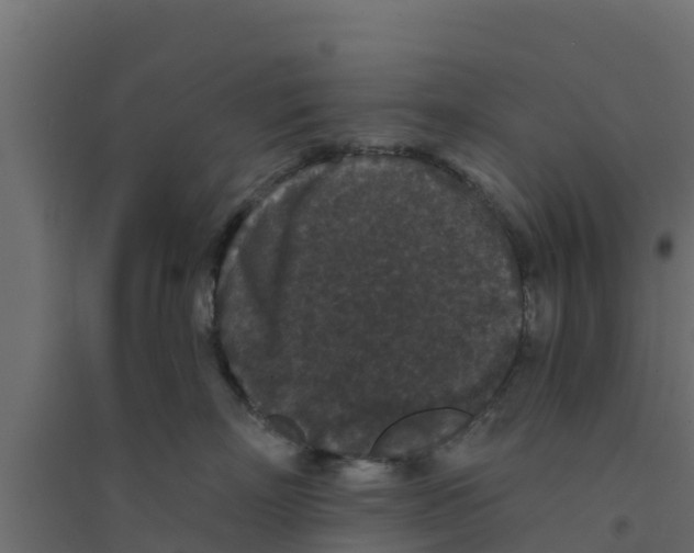 X0000094170718200711241530