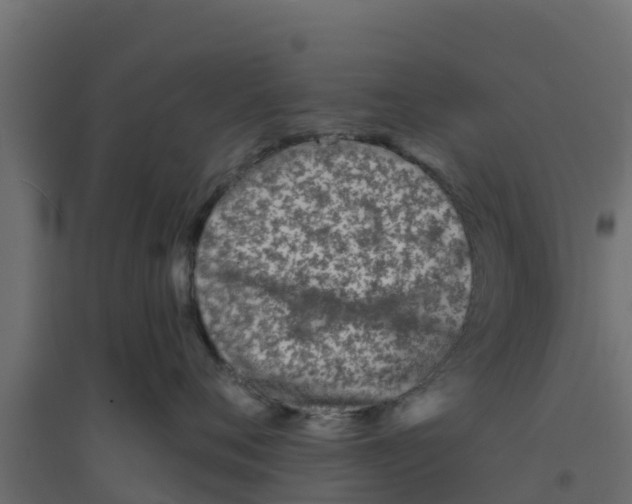 X0000094170720200711241530