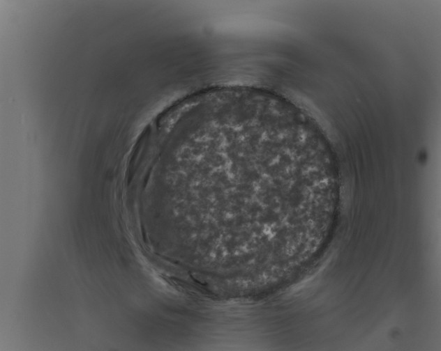X0000094170721200711241529