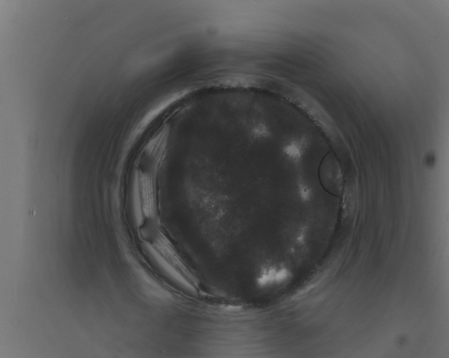 X0000094170722200711241529