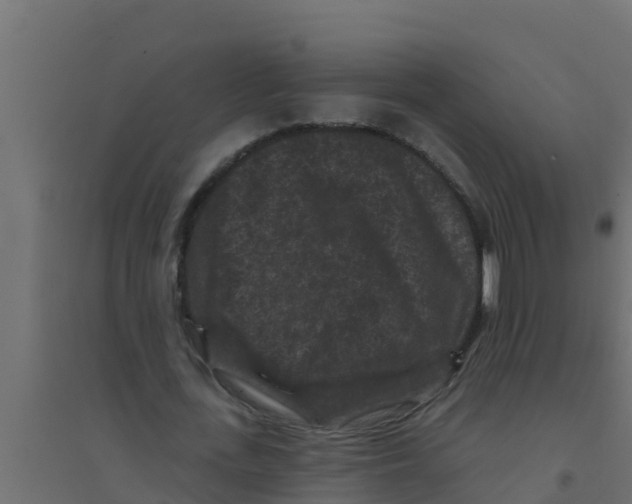 X0000094170723200711241529
