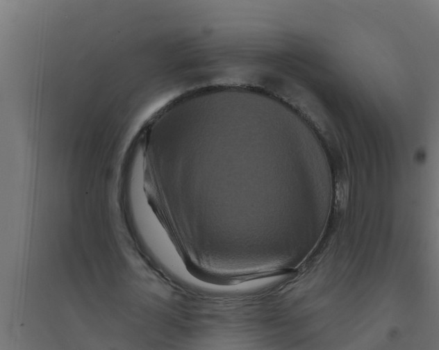 X0000094170724200711241529