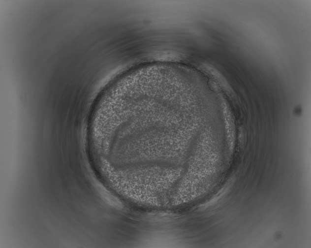 X0000094170725200711241529