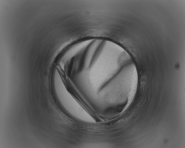X0000094170727200711241529