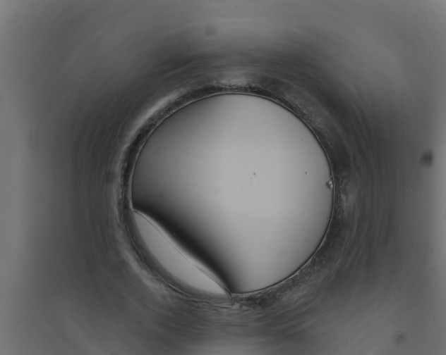 X0000094170728200711241529