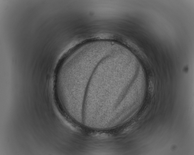 X0000094170730200711241529