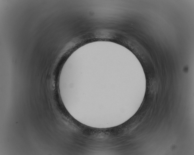 X0000094170731200711241529