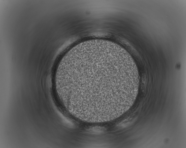 X0000094170734200711241529