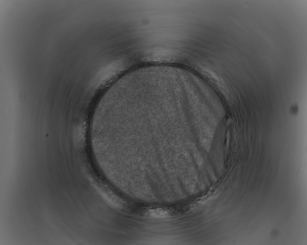 X0000094170735200711241529