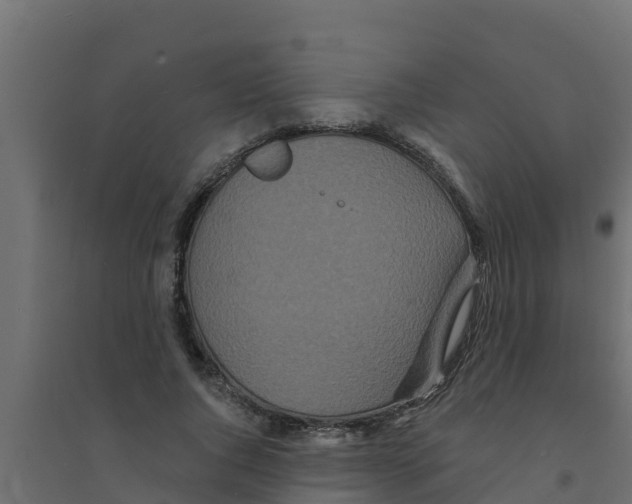 X0000094170736200711241530
