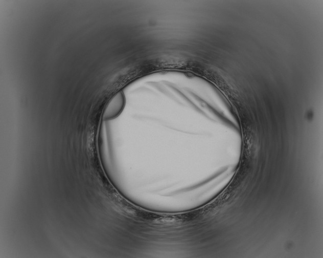 X0000094170745200711241530