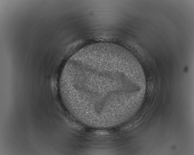 X0000094170749200711241530
