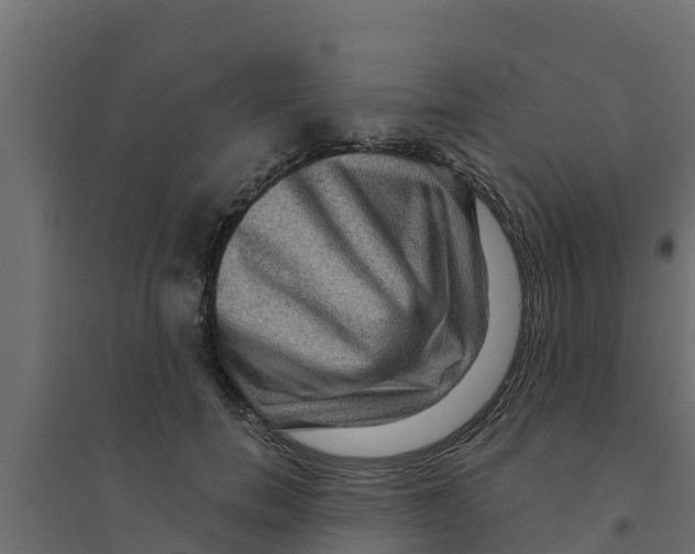 X0000094170750200711241530