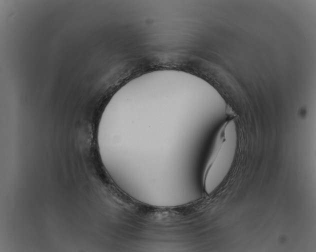 X0000094170752200711241530