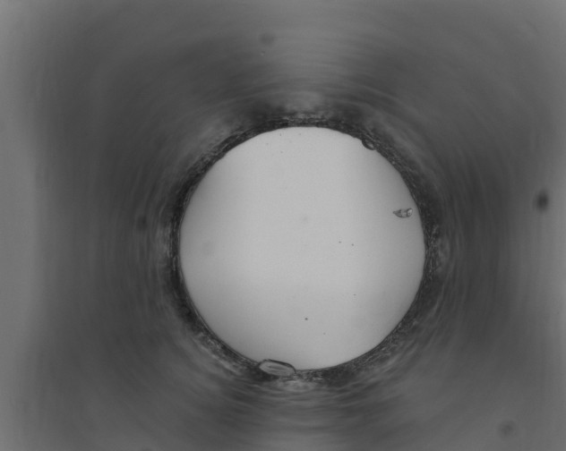X0000094170756200711241530