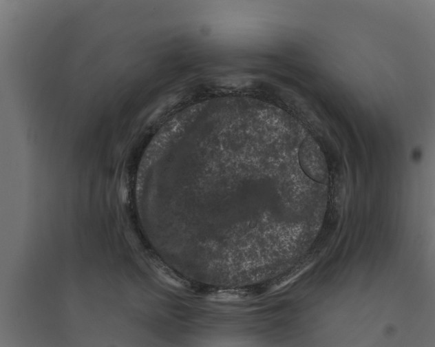 X0000094170758200711241530