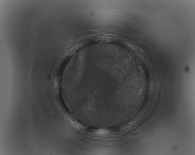 X0000094170759200711241530