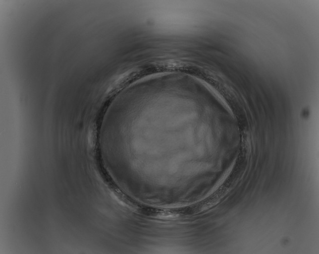 X0000094170760200711241530