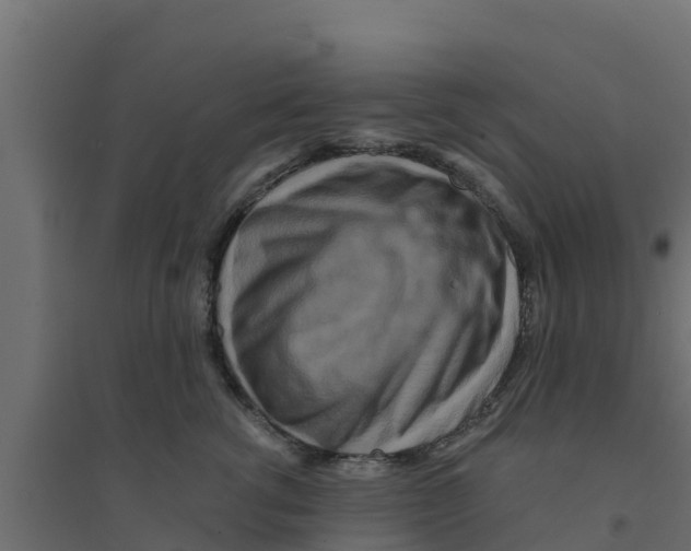 X0000094170762200711241530