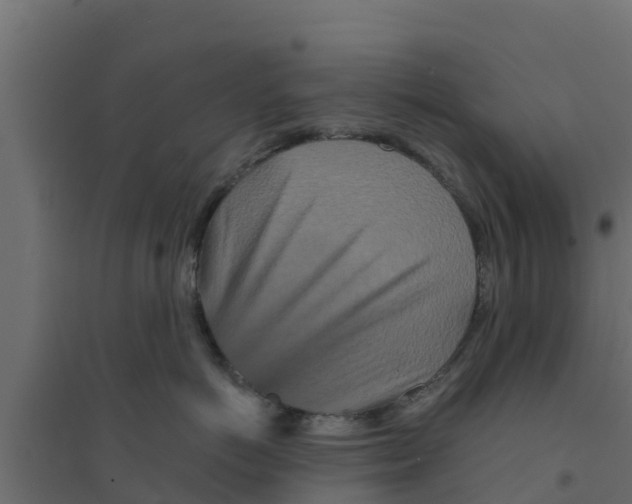 X0000094170766200711241530