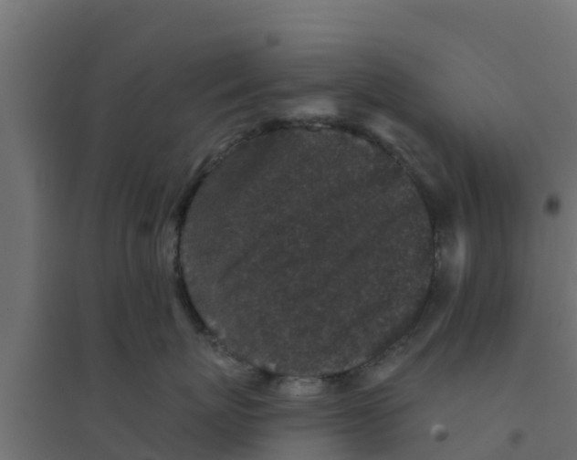 X0000094170767200711241530