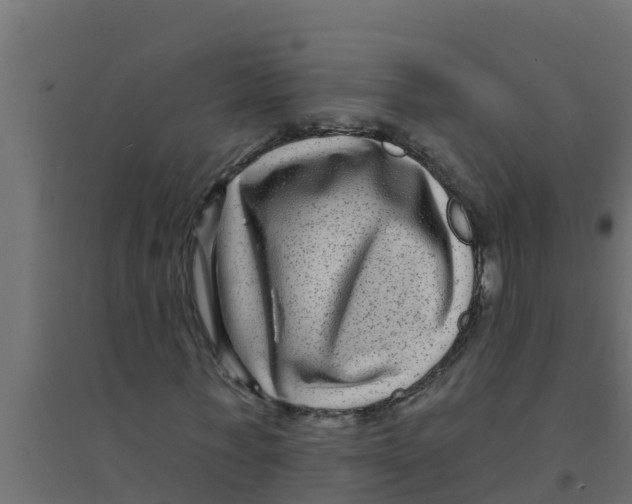 X0000094170771200711241529