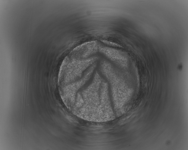 X0000094170772200711241529