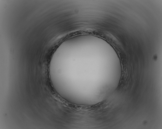 X0000094170773200711241529