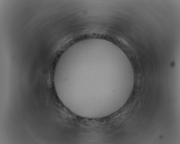 X0000094170774200711241529
