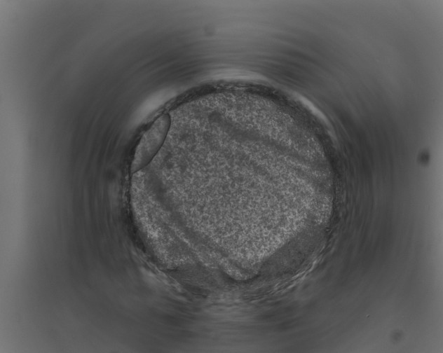 X0000094170775200711241529
