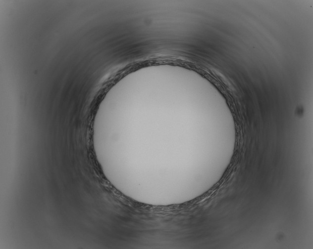 X0000094170776200711241529