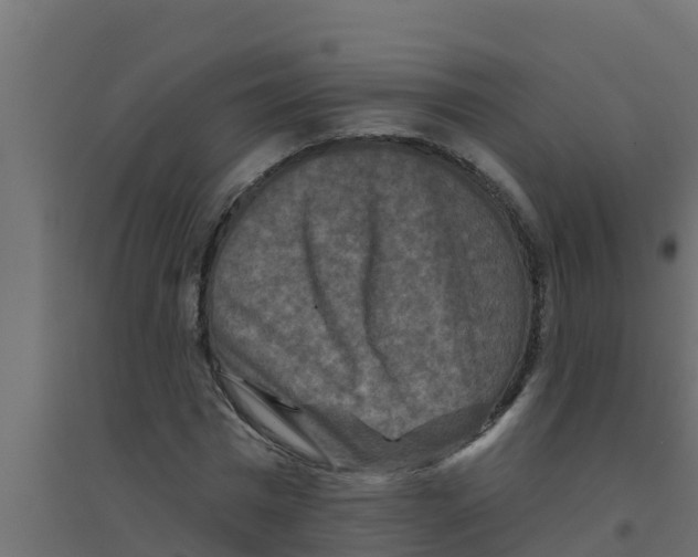X0000094170777200711241529