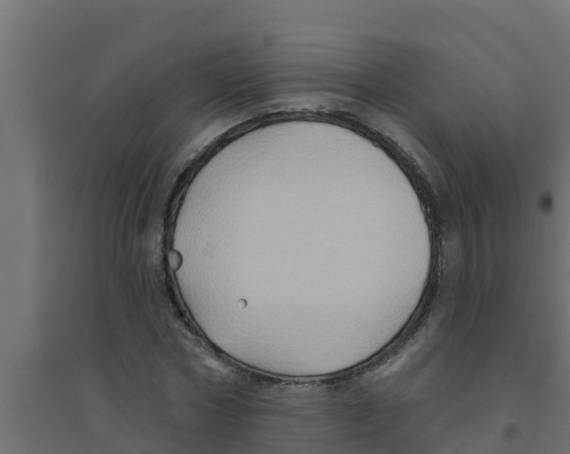 X0000094170778200711241529