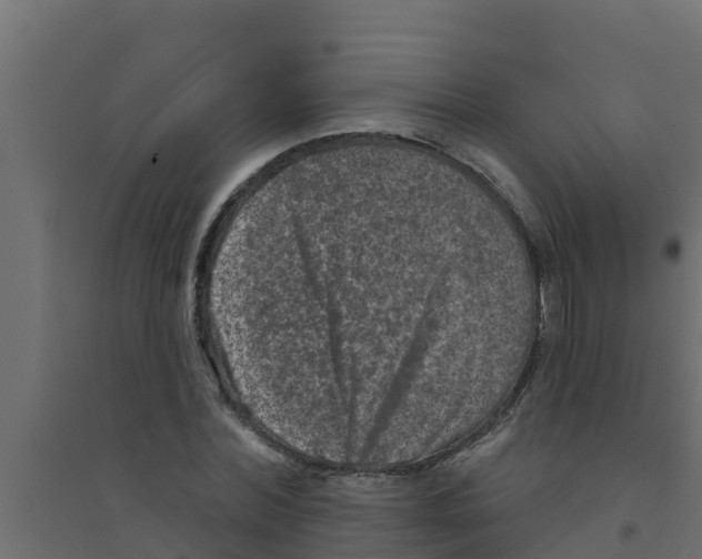 X0000094170780200711241529