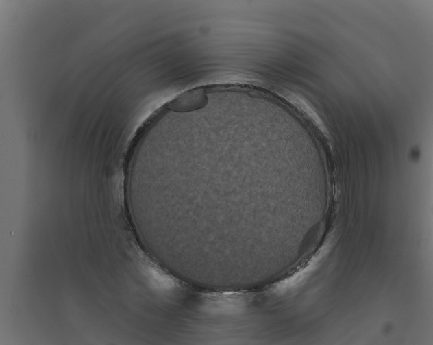 X0000094170781200711241529