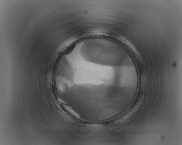 X0000094170785200711241529