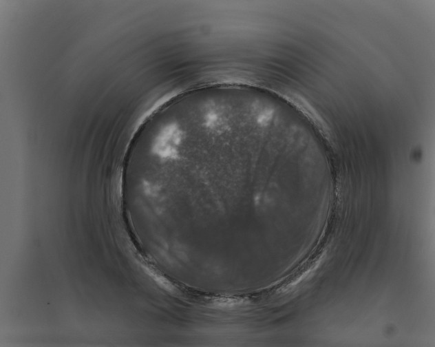 X0000094170790200711241529