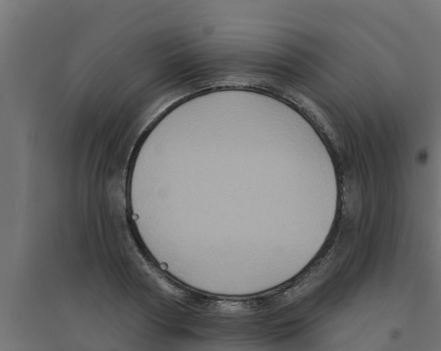 X0000094170794200711241529