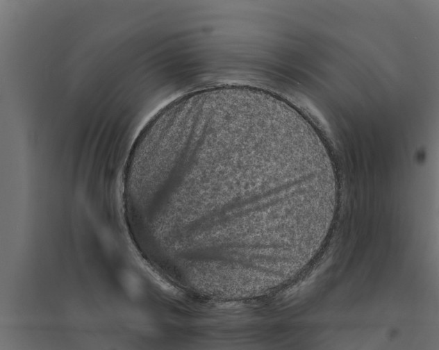X0000094170798200711241529
