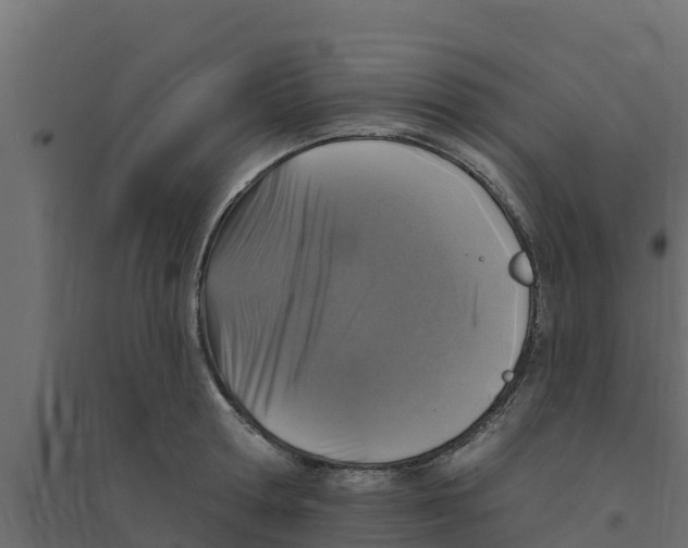 X0000094170802200711241529